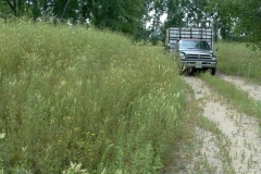 Field1