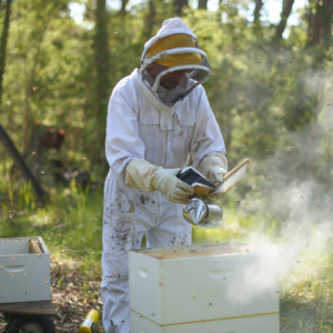 beekeeper class