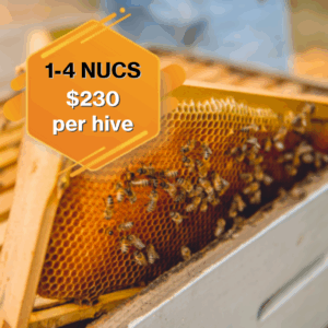 1-4 Nucleus Hive(s)