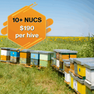 10 or More Nucleus Hives