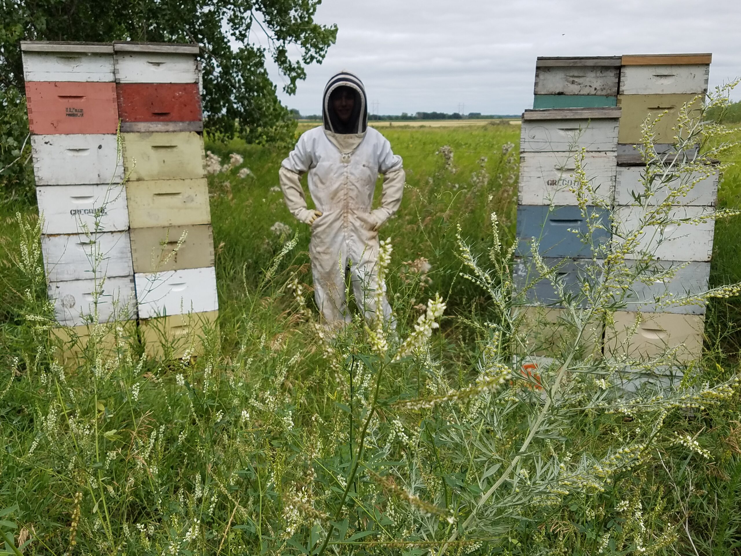 2024 Beginner Beekeeper School