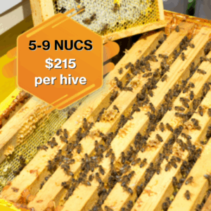 5-9 Nucleus Hives