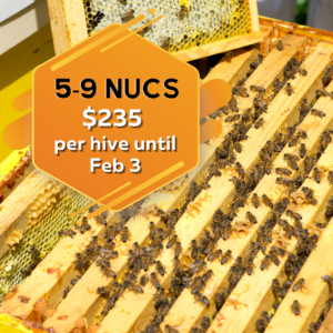 five to nine nucleus hives