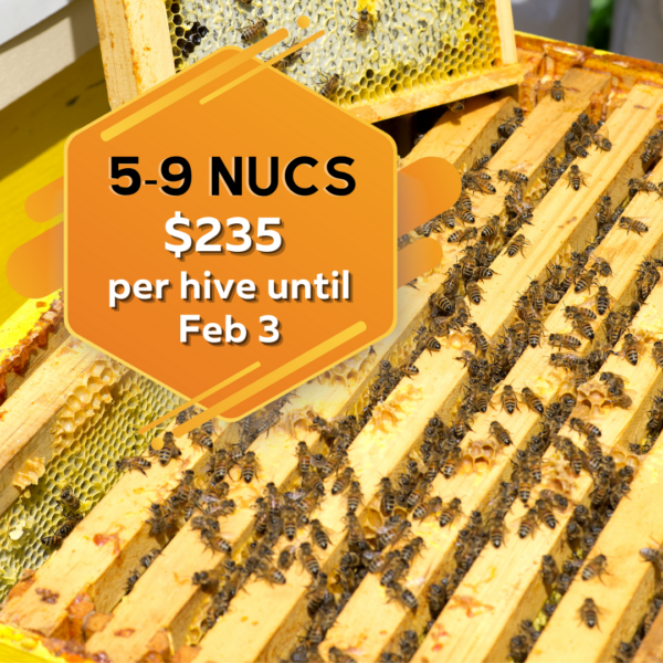 five to nine nucleus hives