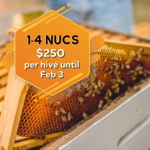 one to four nucleus hives