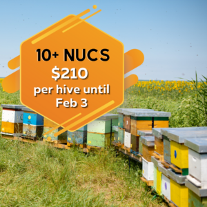ten or more nucleus hives