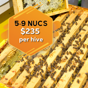 nucs sale