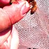 Bee Colony Concierge Services - Image 15