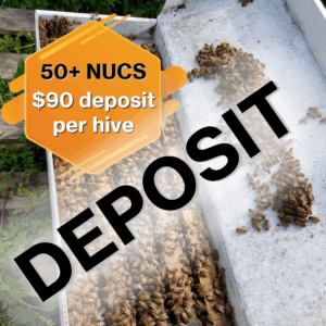 50 or More Nucleus Hives, DEPOSIT ONLY